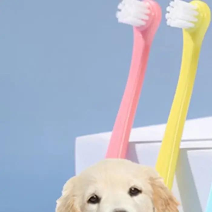 Brosse à dents pour chien