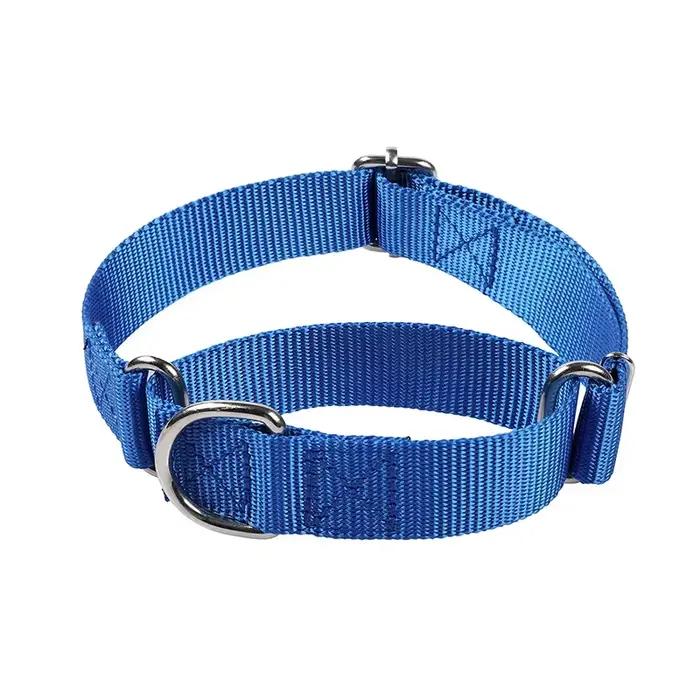 Collier de chien Martingale