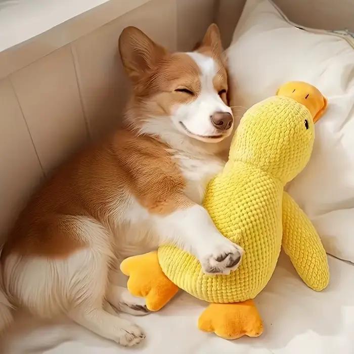 Jouet de chien grinçant en peluche durable | Pour toutes les races de chiens
