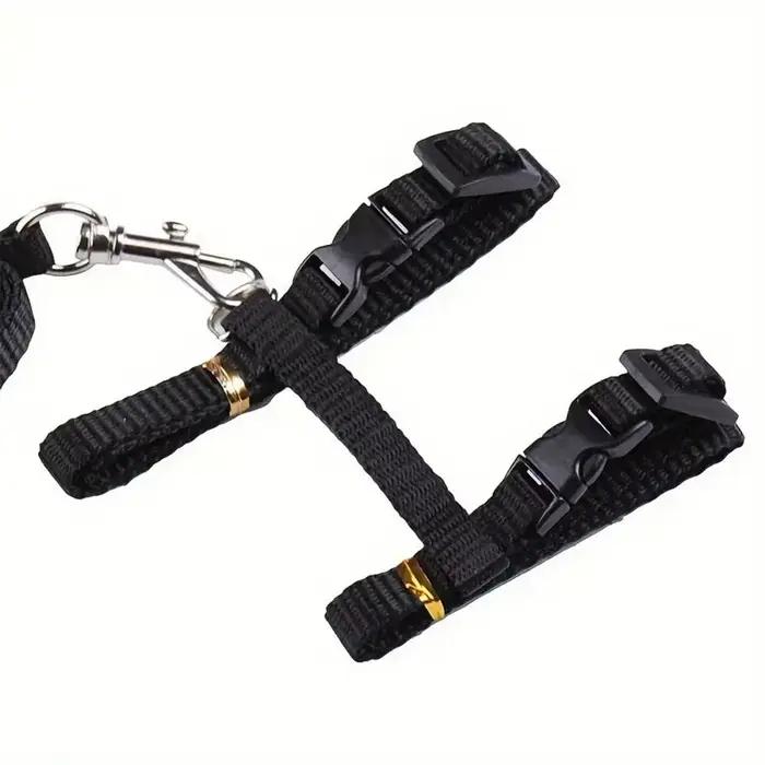 Collier de chat harnais laisse réglable en Nylon Traction pour animaux de compagnie
