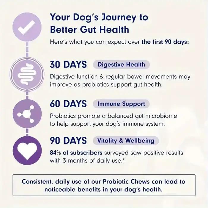 30 Probiotiques pour chiens – Complément digestif et immunitaire pour toutes les races