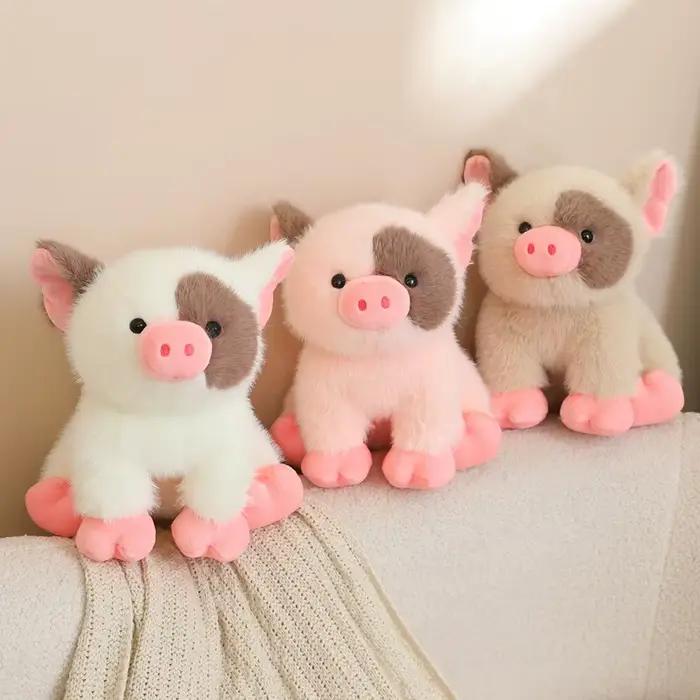 Jouet de démarrage pour chiots et chatons