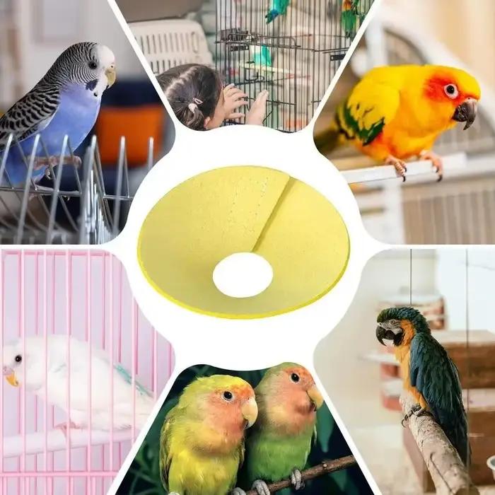 Collier anti-morsure pour oiseaux