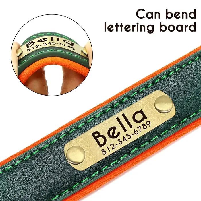 Collier pour chien personnalisé en cuir avec plaque d'identification