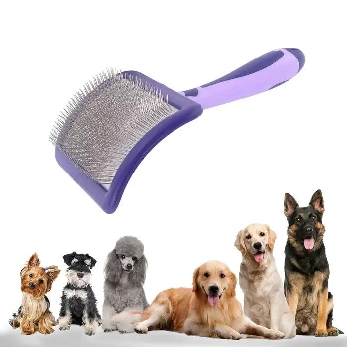 Brosse pour chien pour caniches