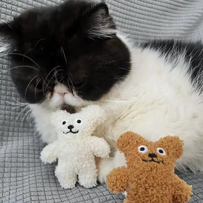 Chat de compagnie menthe poupée en peluche chien jouet Teddy
