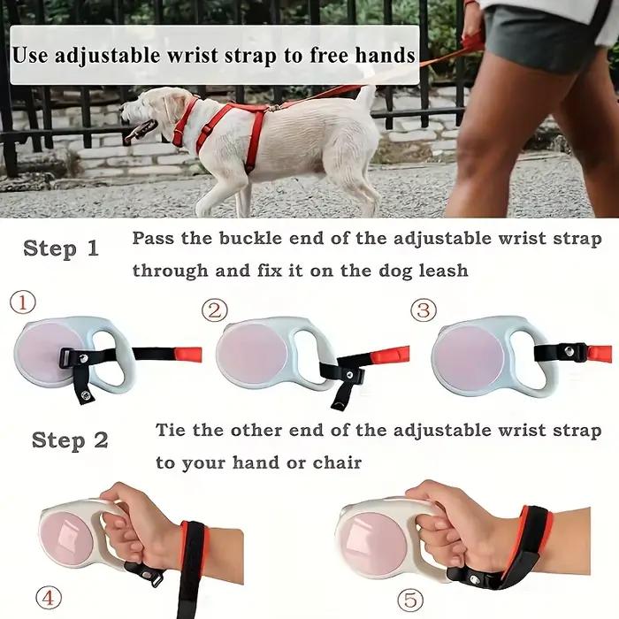 Laisse rétractable automatique pour chiens