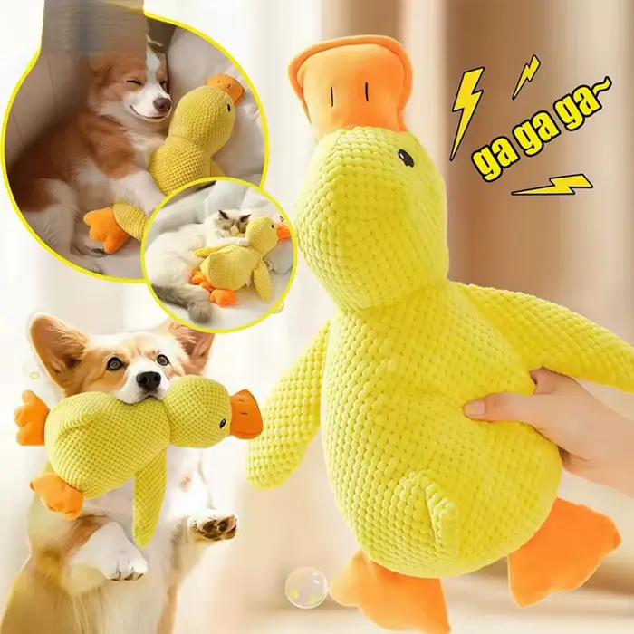 Jouets pour chiens 2026