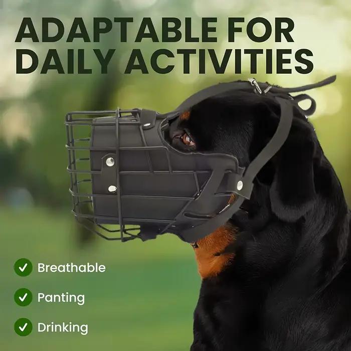 Muselière pour chien réglable en acier inoxydable - Couverture d'entraînement respirante anti-morsure avec boucle pour