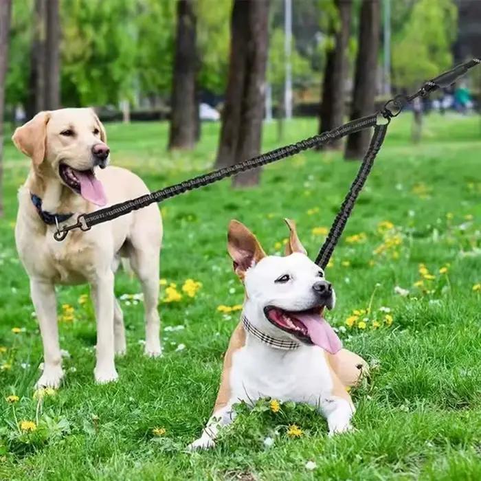 Laisses doubles pour chiens de compagnie