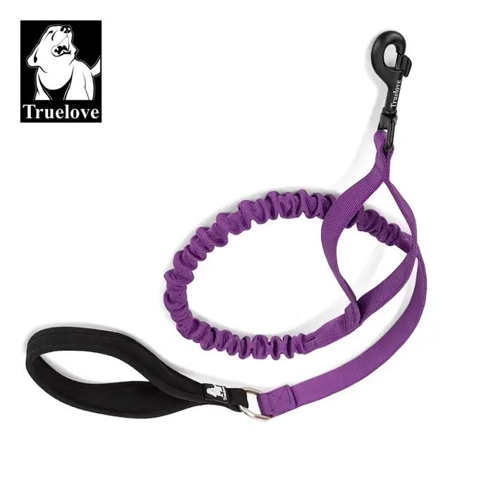 Laisse pour animaux de compagnie
