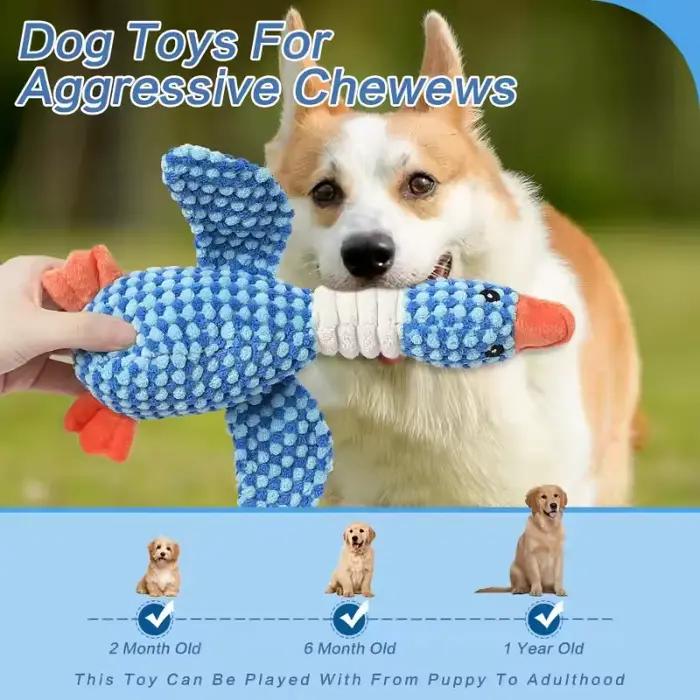Jouets indestructibles pour chiens et chats