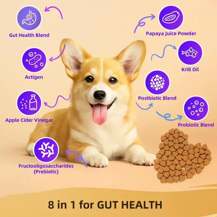 Compléments Probiotiques pour Chiens – 90 Comprimés – Enzymes Digestives pour la Santé de la Flore Intestinale