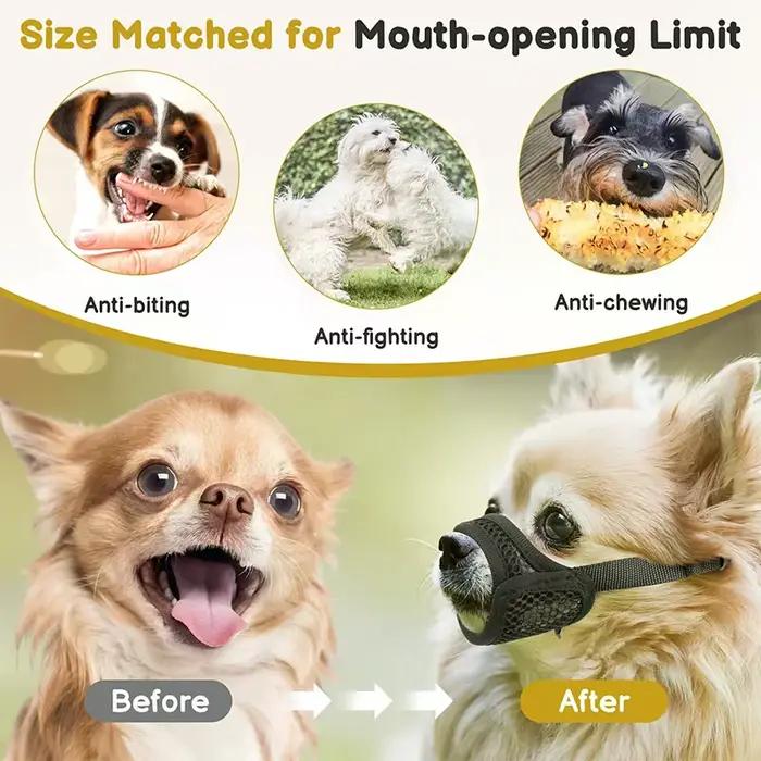 Gardez votre chien de petite ou moyenne mordre avec ce museau en maille