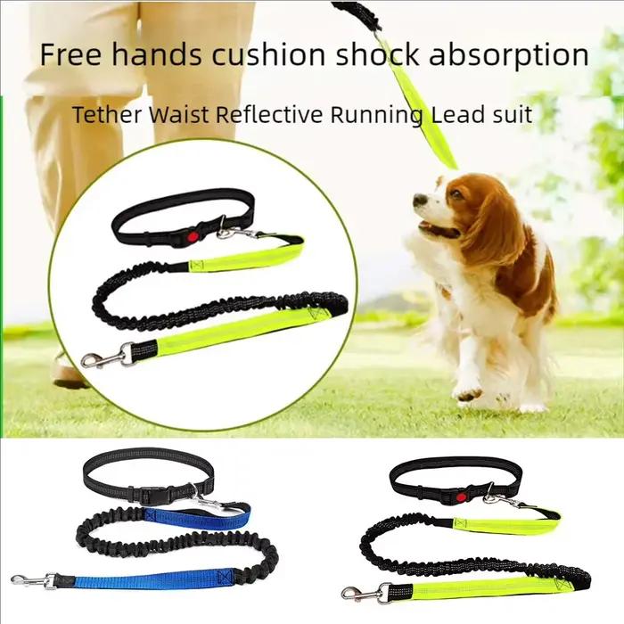 Laisse réfléchissante corde de Traction chien de compagnie ceinture de course mains élastiques librement Jogging tirer