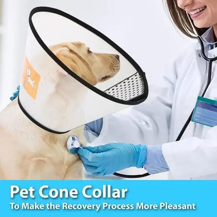 Collier anti-morsure Elizabeth pour animal de compagnie