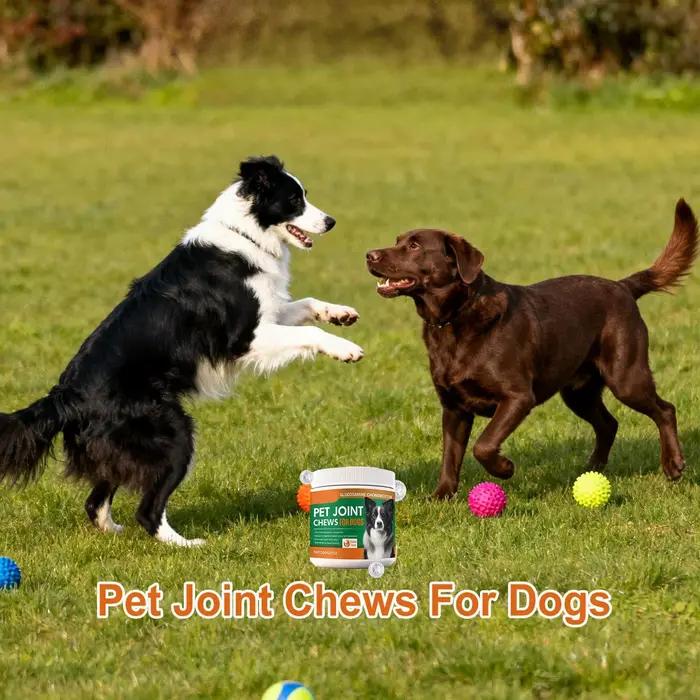 Complément articulaire pour chiens