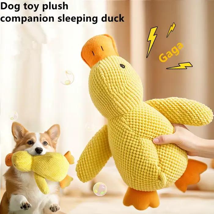 Jouet en peluche pour animaux de compagnie