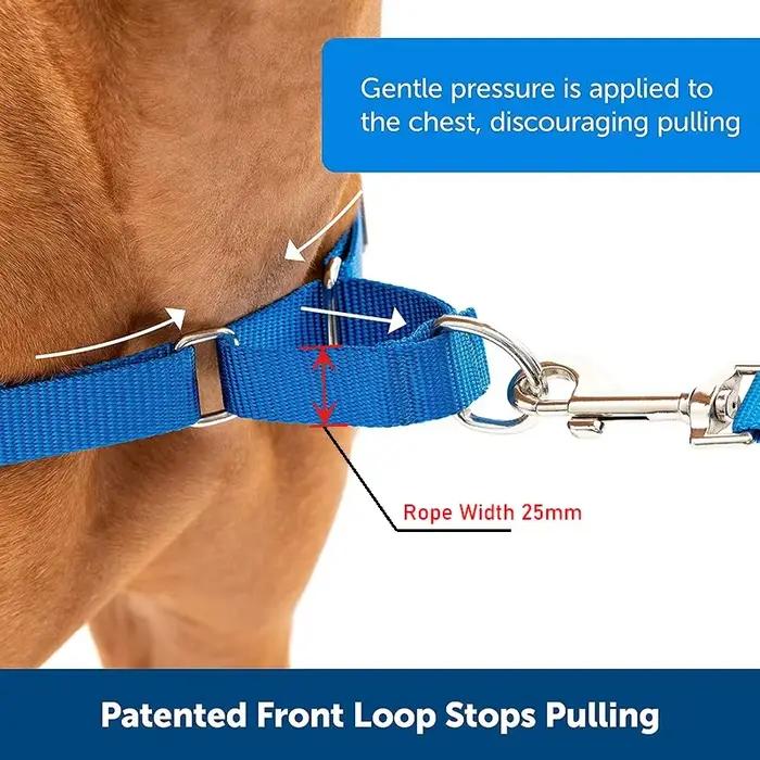 Collier de chien Martingale