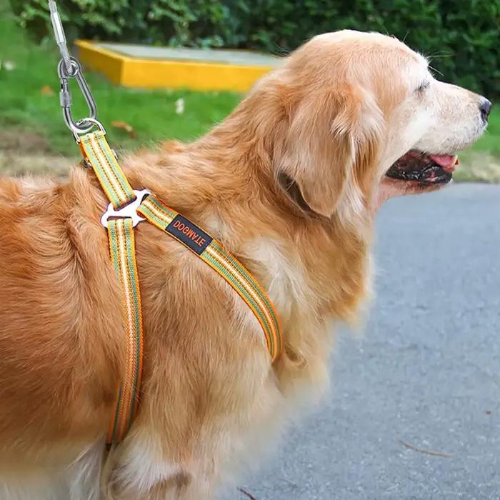 Laisse de câble d'arrimage pour chien à Double tête