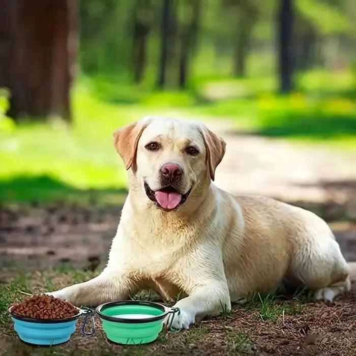 Bol pliable Portable pour chien