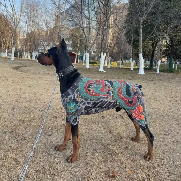 Combinaison intégrale pour chien à quatre pattes