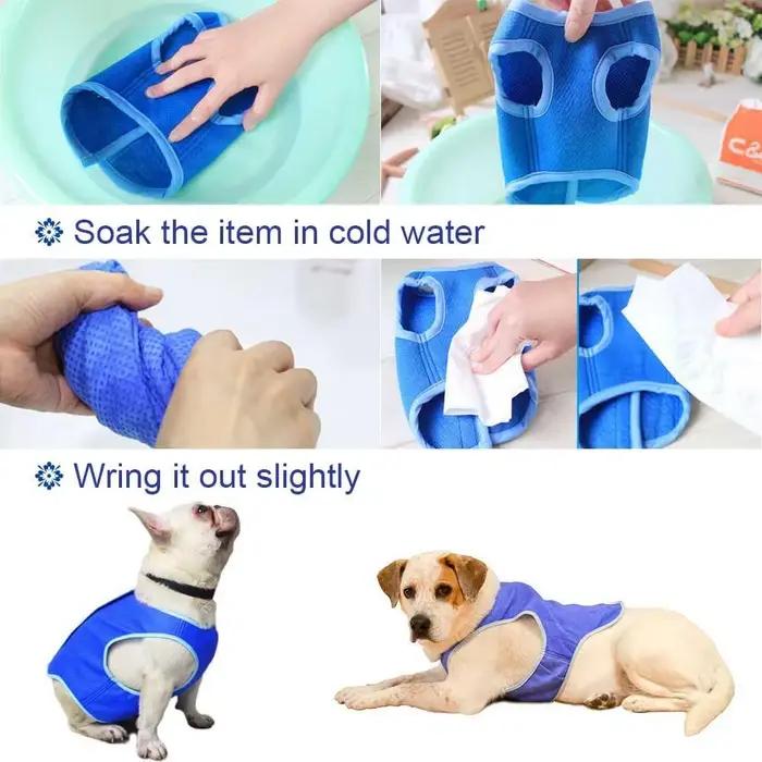 Gilet rafraîchissant pour animaux de compagnie pour chiens et chats