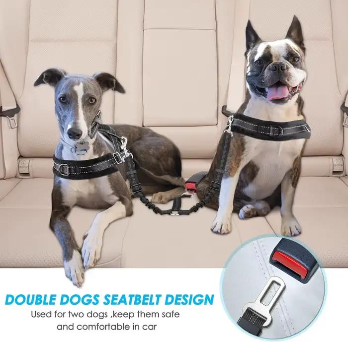 Ceinture de sécurité réglable pour chien