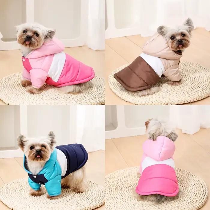 Sweat à capuche vêtements pour chiens de compagnie pour petits