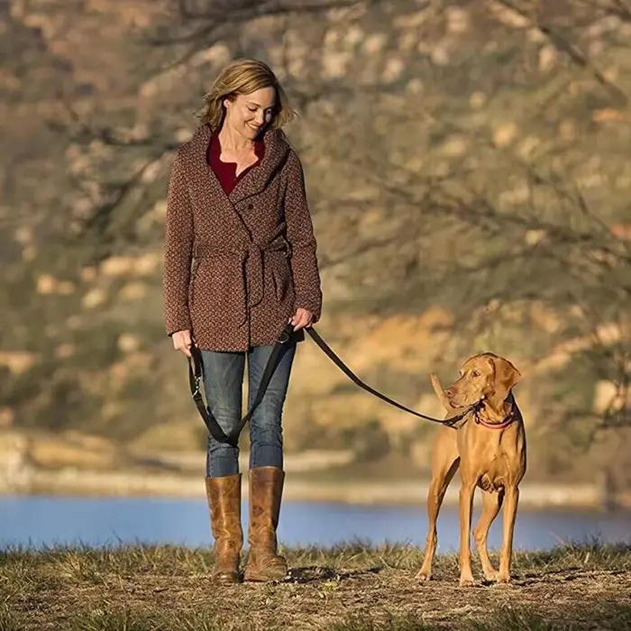 Laisses pour chiens en plein air