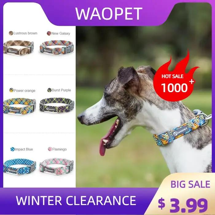 Collier de chien pour chiot moyen et grand