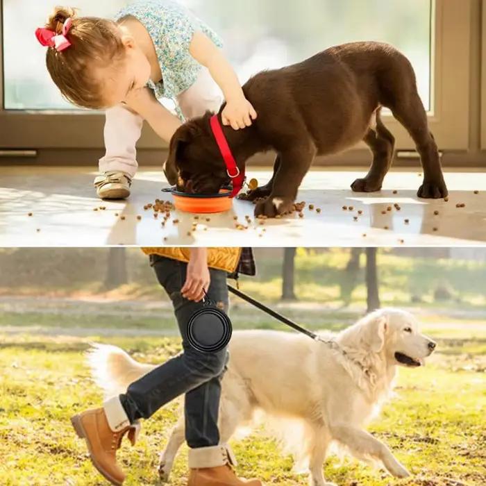 Bol de voyage pour chien