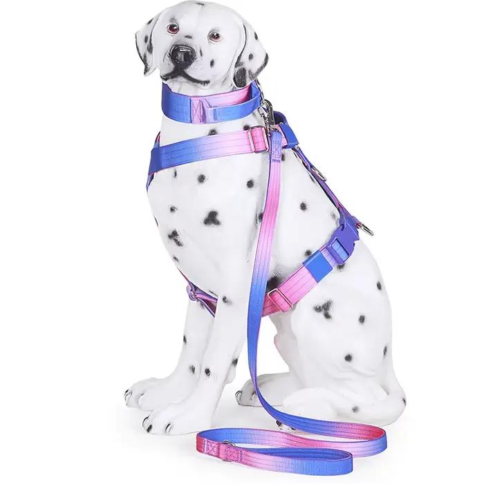 Harnais tactique pour chien