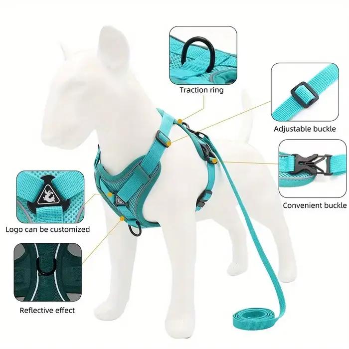 Ensemble harnais et laisse pour chien sans traction