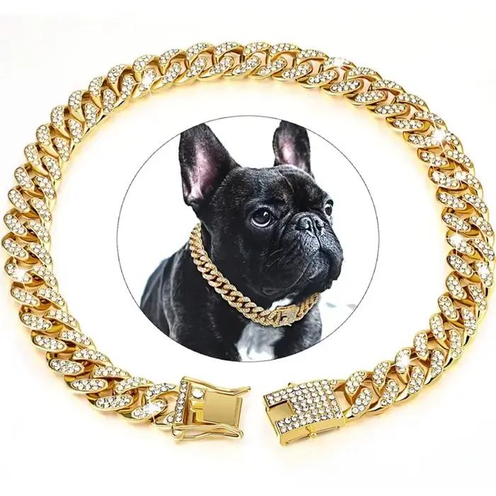 Collier en chaîne pour chien