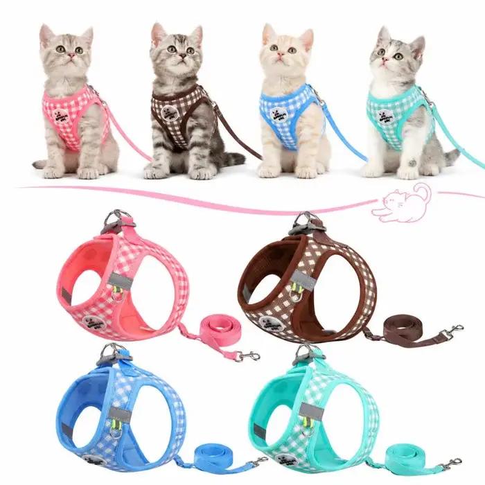 Ensemble harnais et laisse pour chat