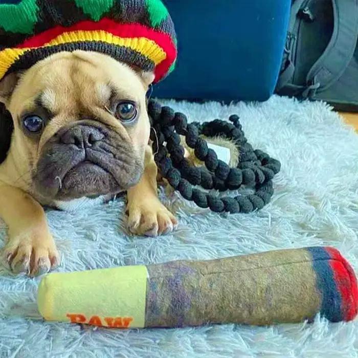 Jouets interactifs amusants pour chiens, conception de cigare, peluche grinçante, grincement des dents, jouet à mâcher créatif pour petits et moyens chiens