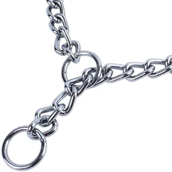 Collier chaîne pour chien