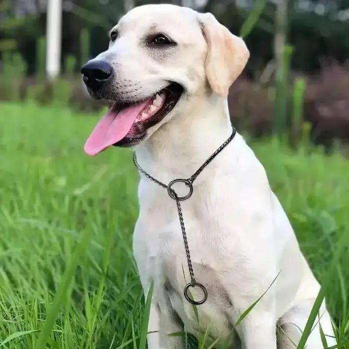 Collier ras du cou en forme de serpent pour chien