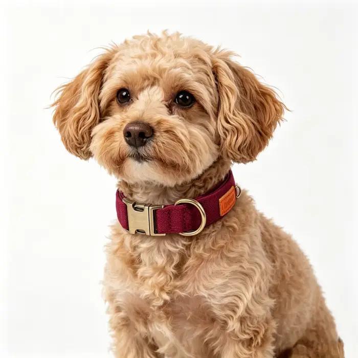 Collier pour animaux de compagnie rouge avec boucle en alliage