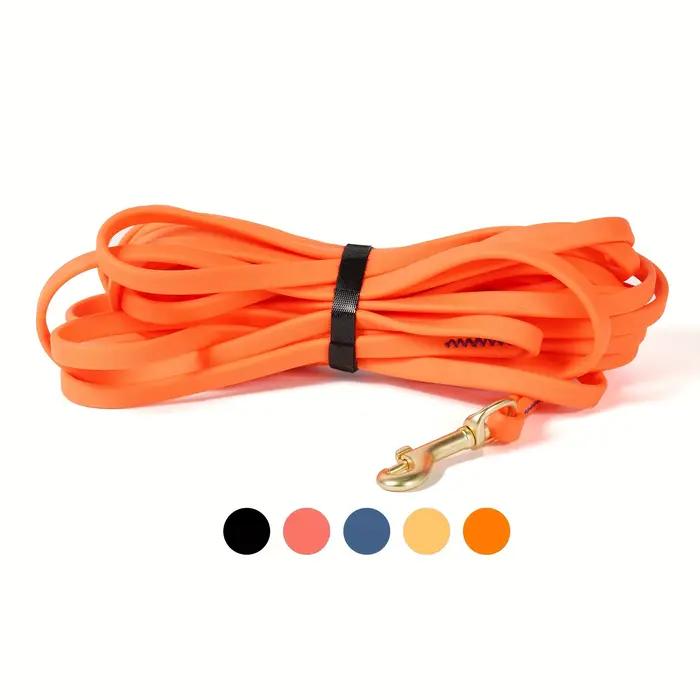 Laisse pour chien de 1