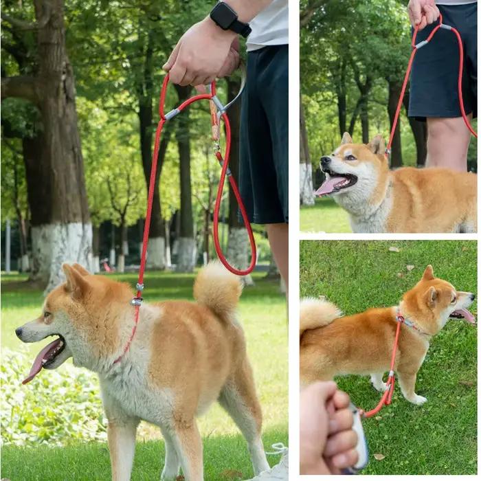 Laisse coordonnante pour collier de chien