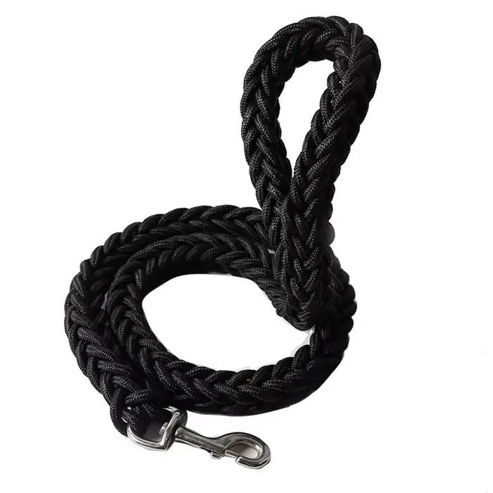 Grande laisse pour chien