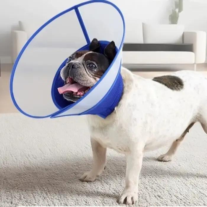 Collier élisabéthain respirant pour chien