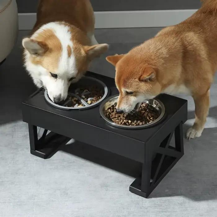 Bol pour chien à mangeoire lente