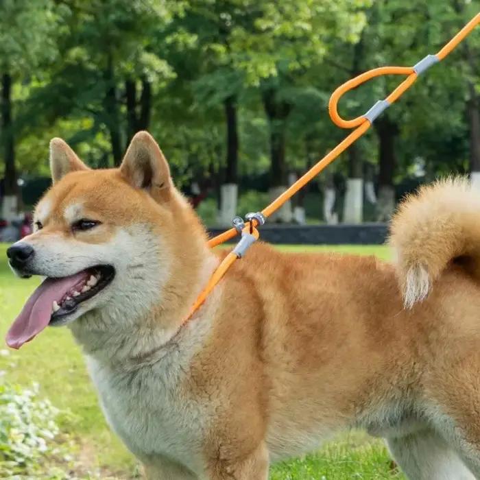 Laisse coordonnante pour collier de chien