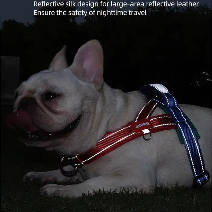 Harnais pour chiens, type selle