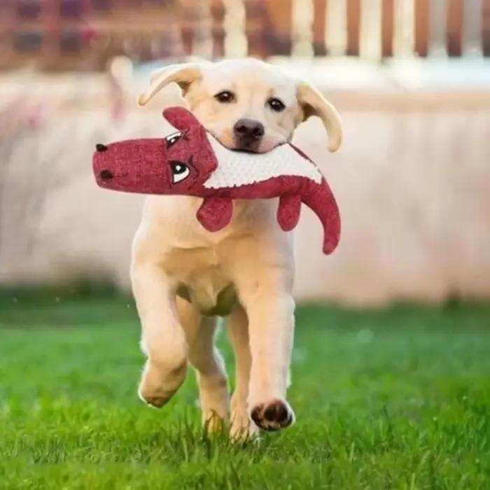 Jouets sonores interactifs pour chiens
