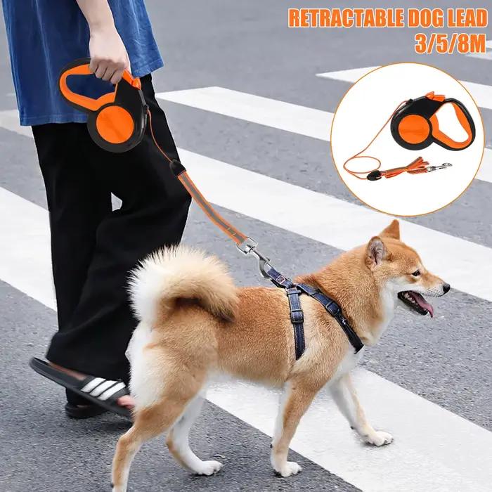 Laisse Rétractable pour Petit et Grand Chien