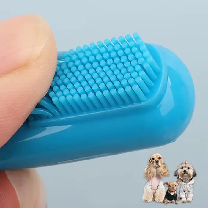 Brosse à dents pour chien